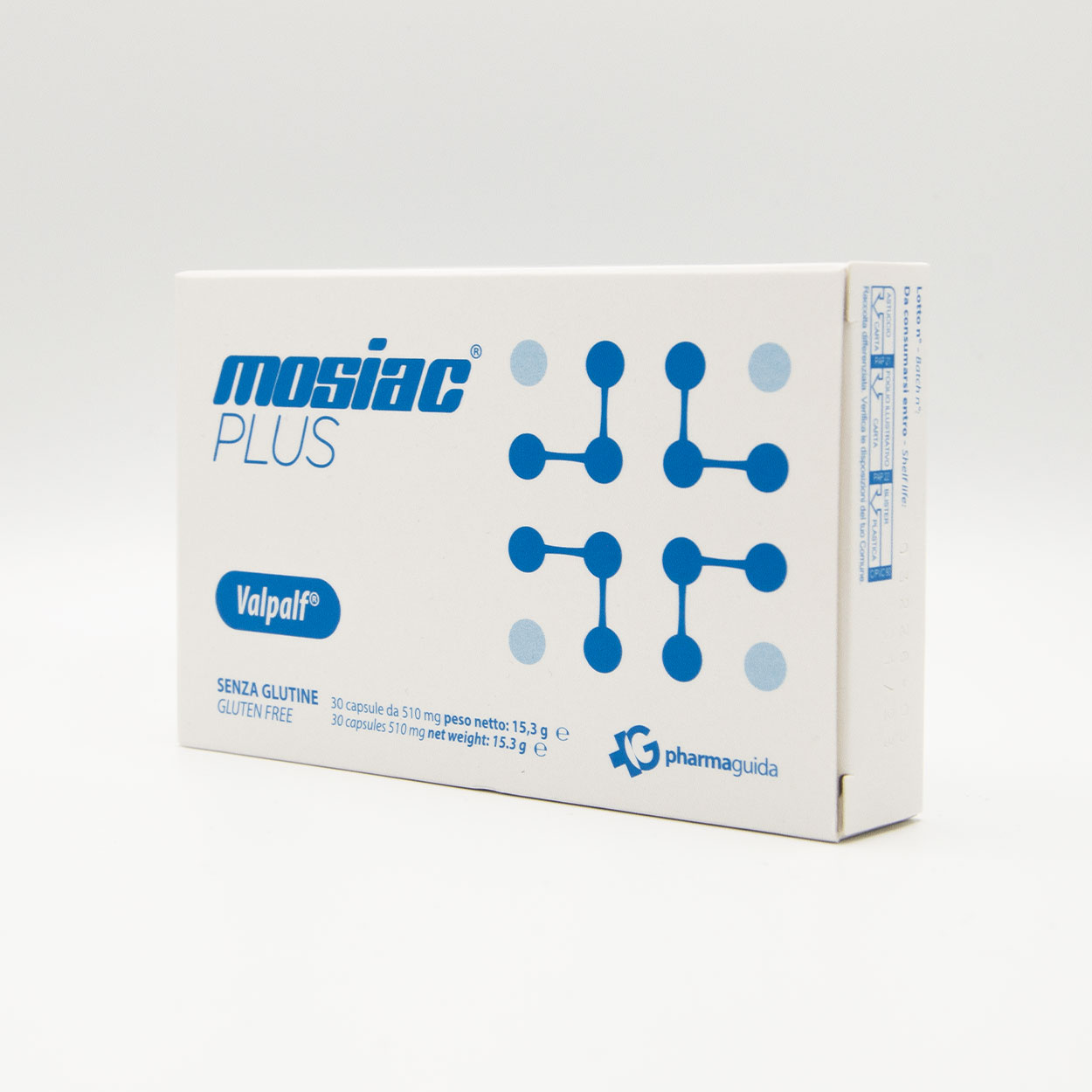 Mosiac_Plus_3