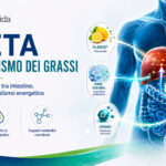 metabolismo dei grassi